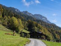 Beim Hinterkaiserhof unter dem Zahmen Kaiser